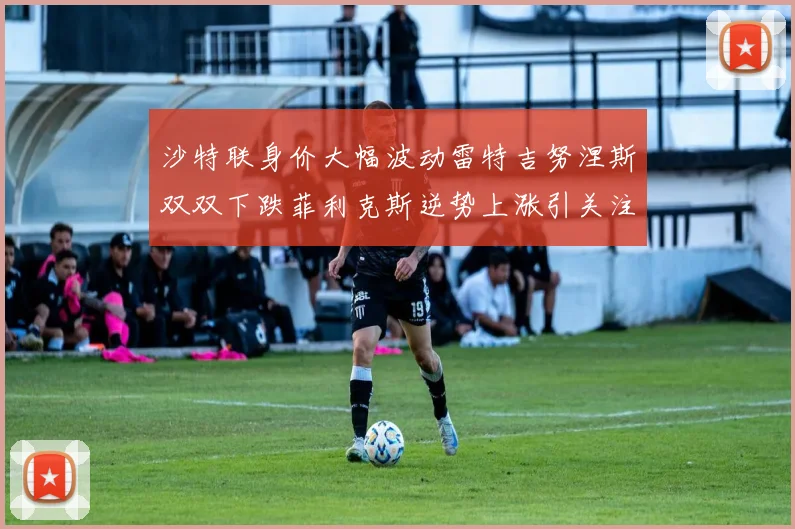 沙特联身价大幅波动雷特吉努涅斯双双下跌菲利克斯逆势上涨引关注