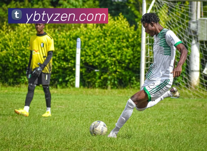 易博体育APP 封面图